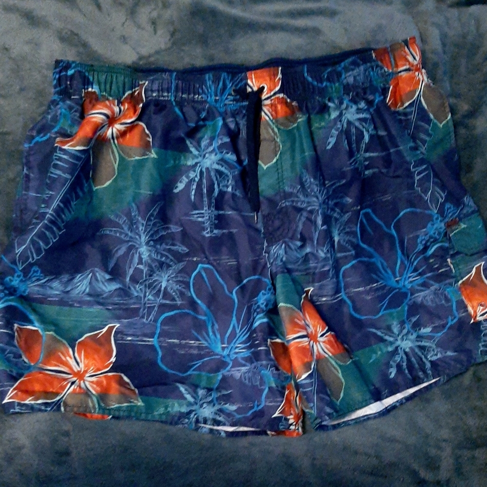 Mens Bathing Suite, Size 3X